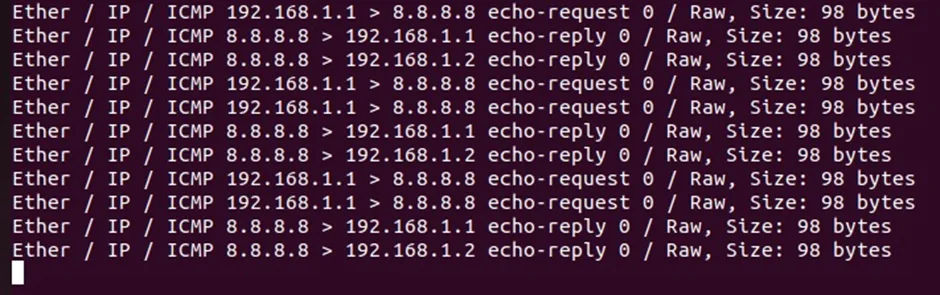 Packet Sniffing